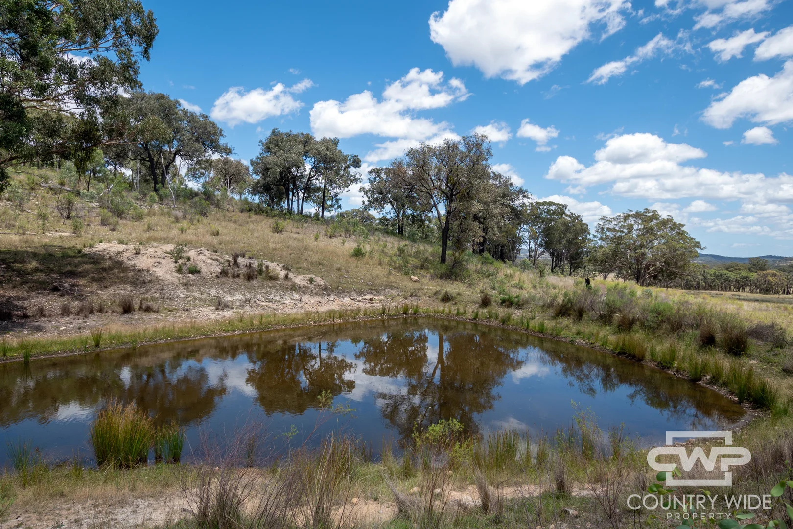 Additional image 4 of 162, 2202 Wellington Vale Road, Emmaville NSW 2371