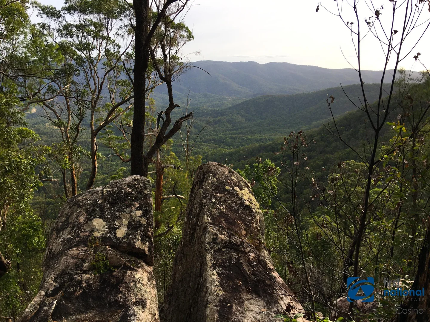 Additional image 21 of Lot 8 Long Gully Road, Drake NSW 2469