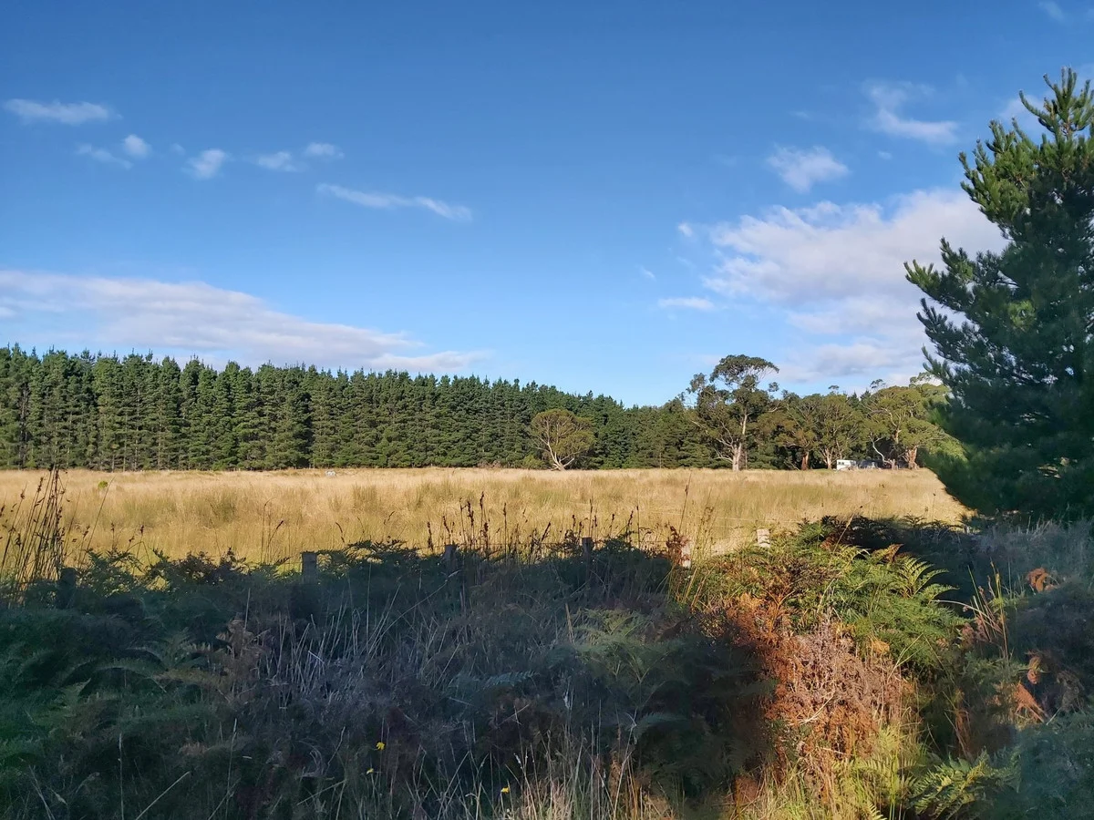 Tasman Highway, Little Swanport TAS 7190