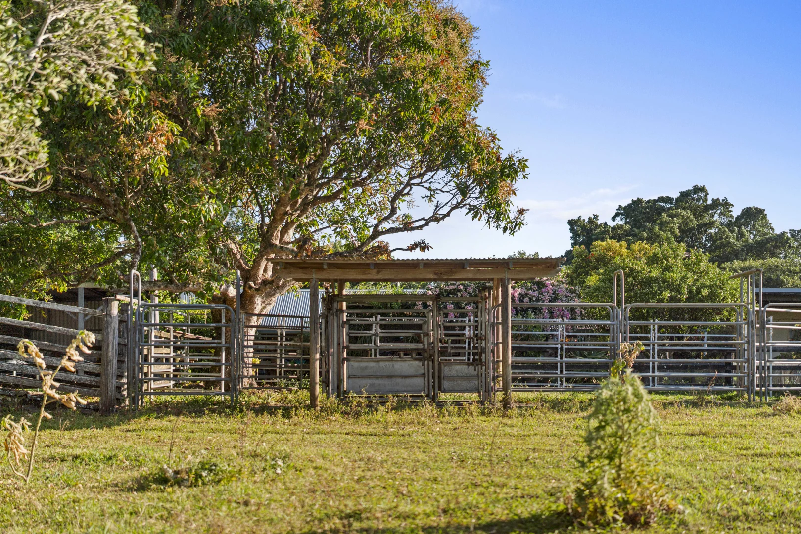 Additional image 29 of 241 Alcorn Road, Knockrow NSW 2479