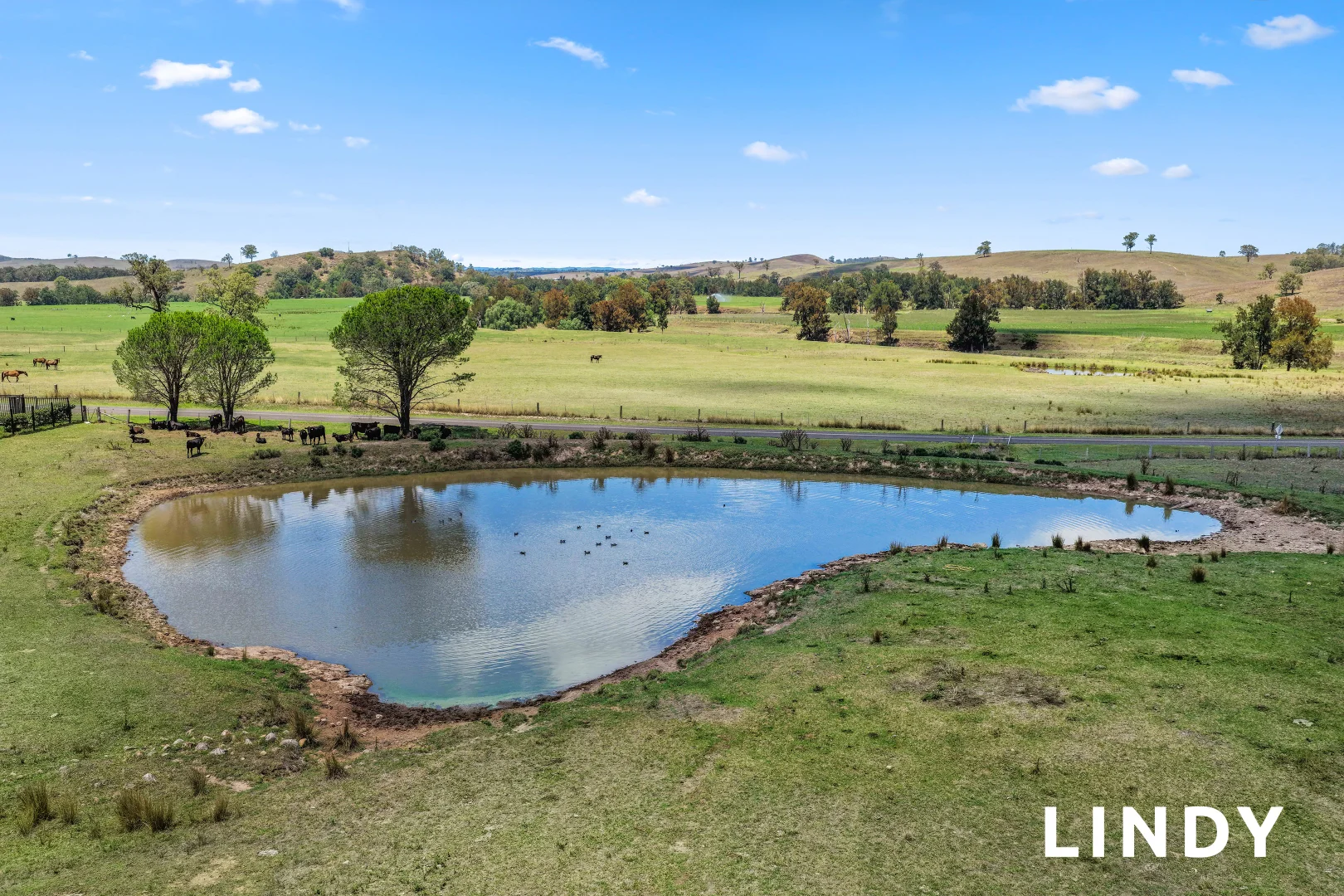 Additional image 20 of 218 Goorangoola Road, Singleton NSW 2330