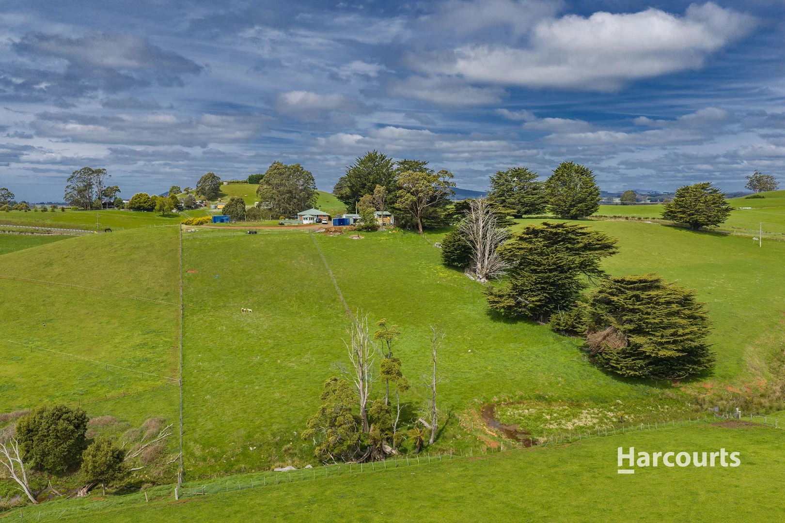 Additional image 26 of 734 Ridgley Highway, Ridgley TAS 7321