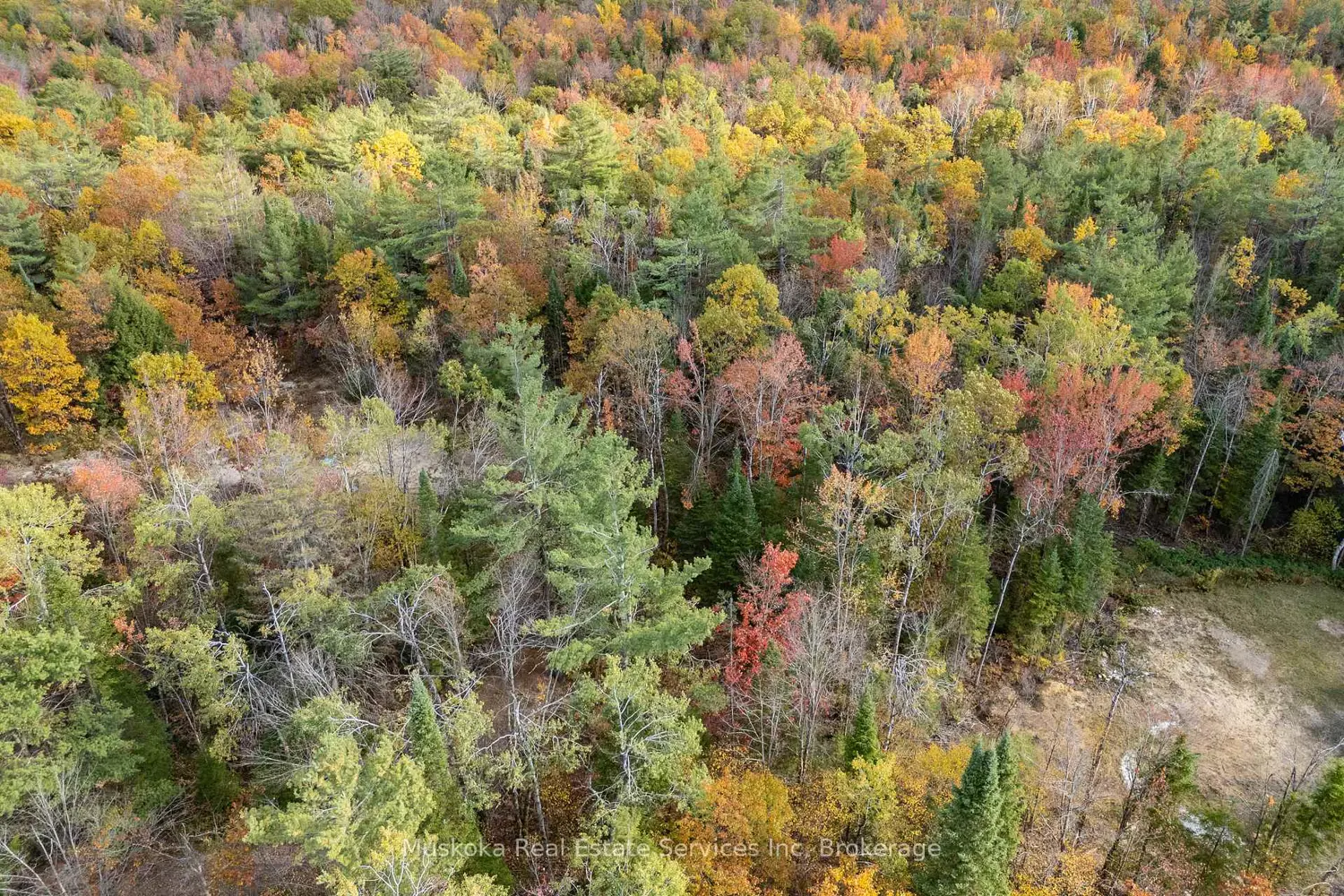 Additional image 13 of 1088 Merkley Road