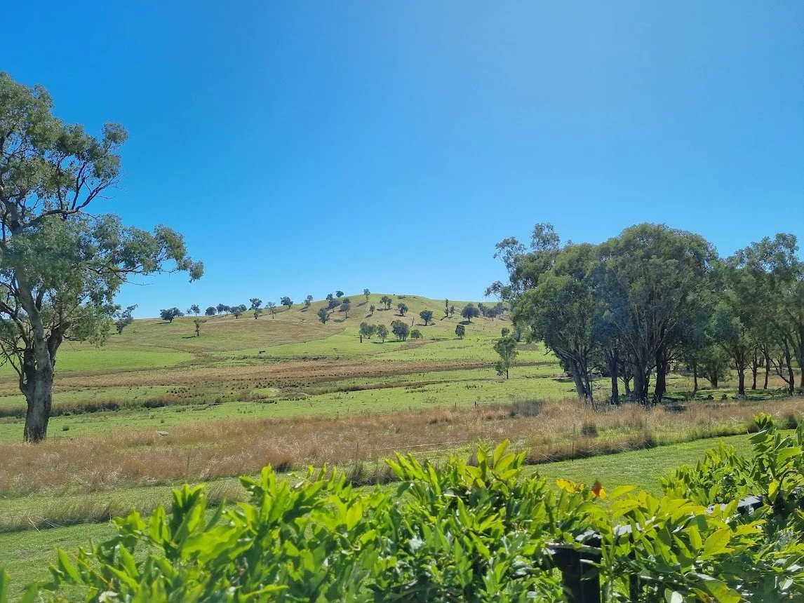 Additional image 26 of 20 Rosedale Road, Gundagai NSW 2722