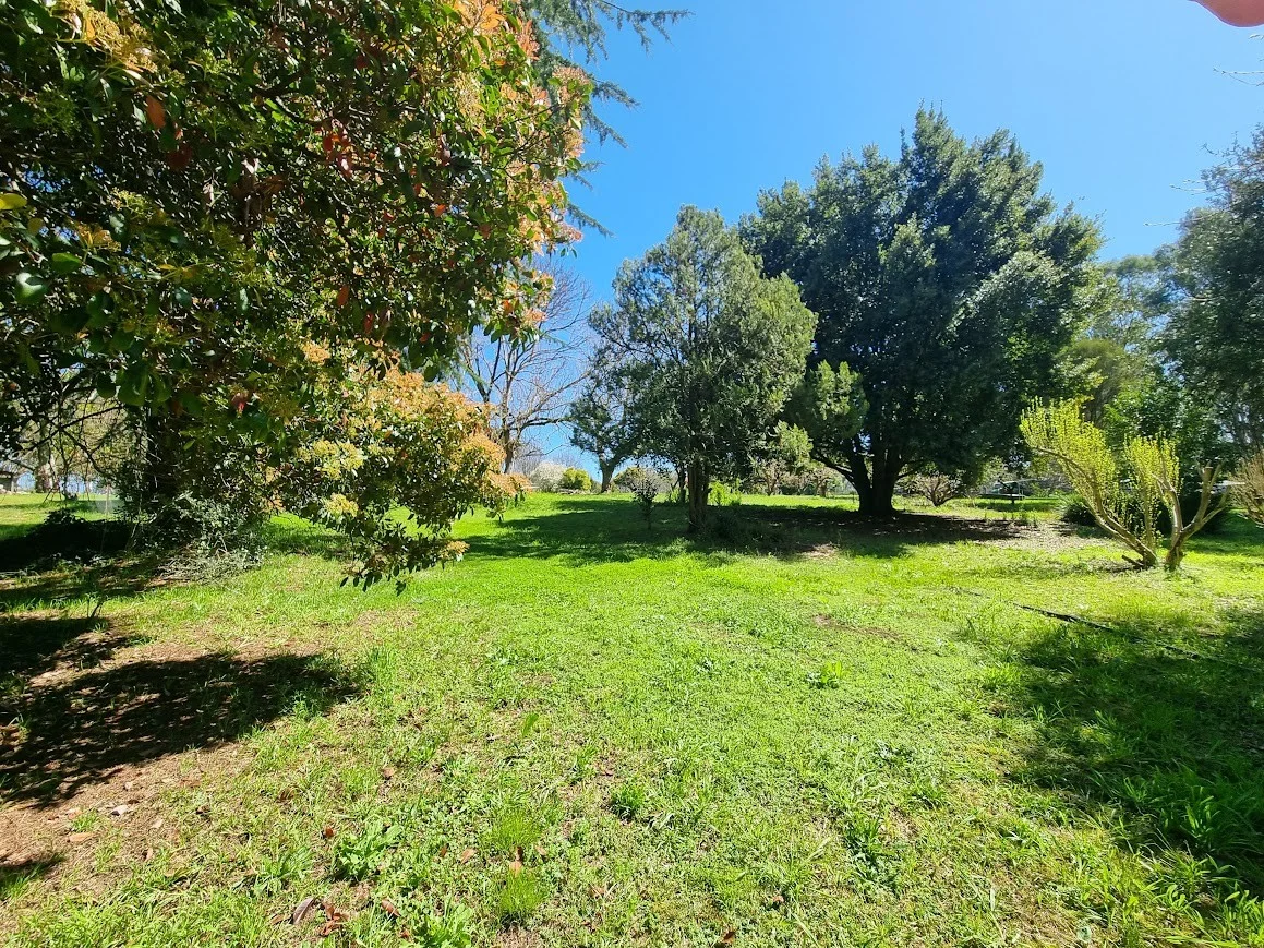 Additional image 18 of 1924 Adelong Road, Tumblong NSW 2729