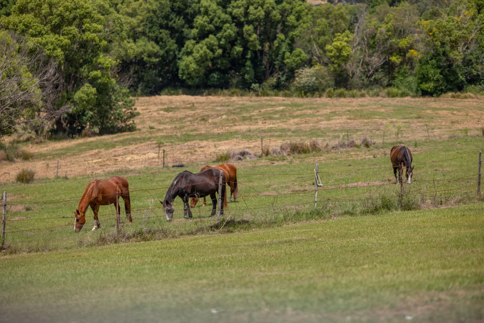 Additional image 12 of 698-699 Leeann Road, Monkland QLD 4570