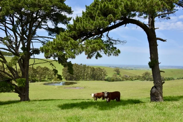 Additional image 6 of 65 McDowell Road, Ryanston VIC 3992