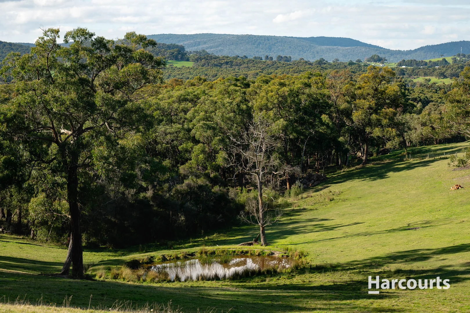 Additional image 6 of 91 Warren Road, Nar Nar Goon North VIC 3812