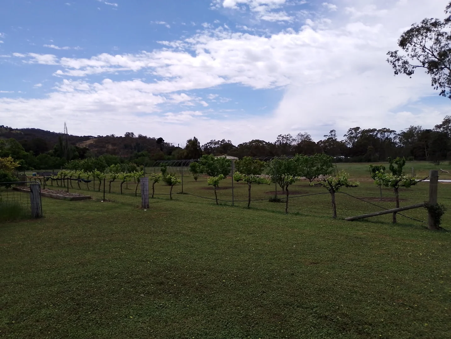 Additional image 23 of 6112 Stawell-Avoca Road, Moonambel VIC 3478