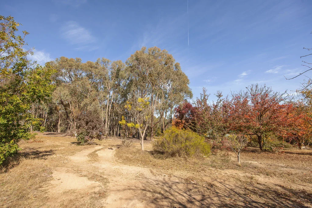 Additional image 20 of 7 Silver Creek Avenue, Yackandandah VIC 3749