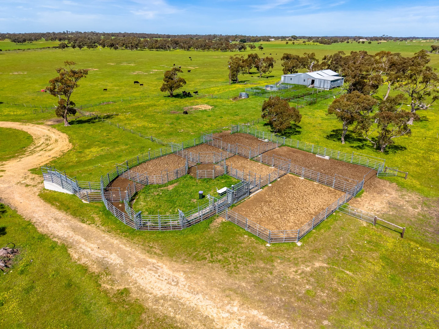 Additional image 29 of 641 Minnie Crowe Road, Avenue Range SA 5273