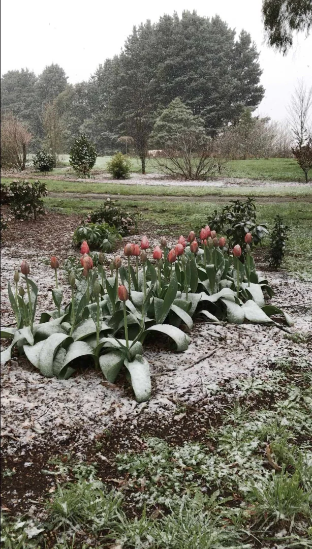 Additional image 28 of 150 Bergs Lane, Trentham East VIC 3458