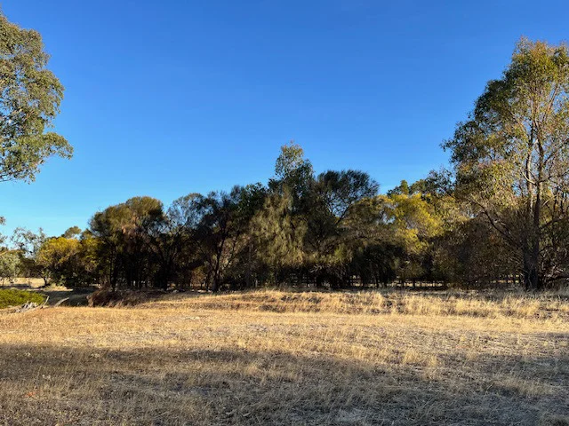 Additional image 21 of 964 Dobaderry Road, Beverley WA 6304