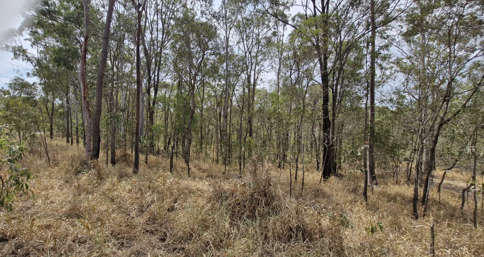 Additional image 6 of 56 Whytallabah Road, Euleilah QLD 4674