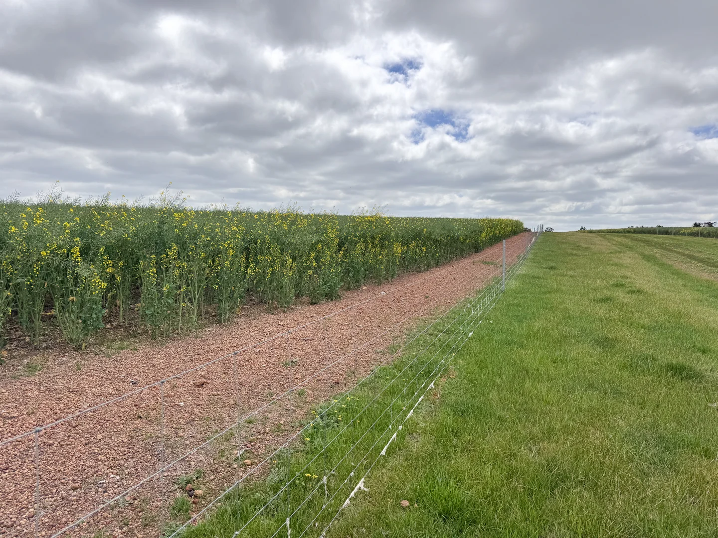 Additional image 25 of 495 Narlingup Road, Qualeup WA 6394