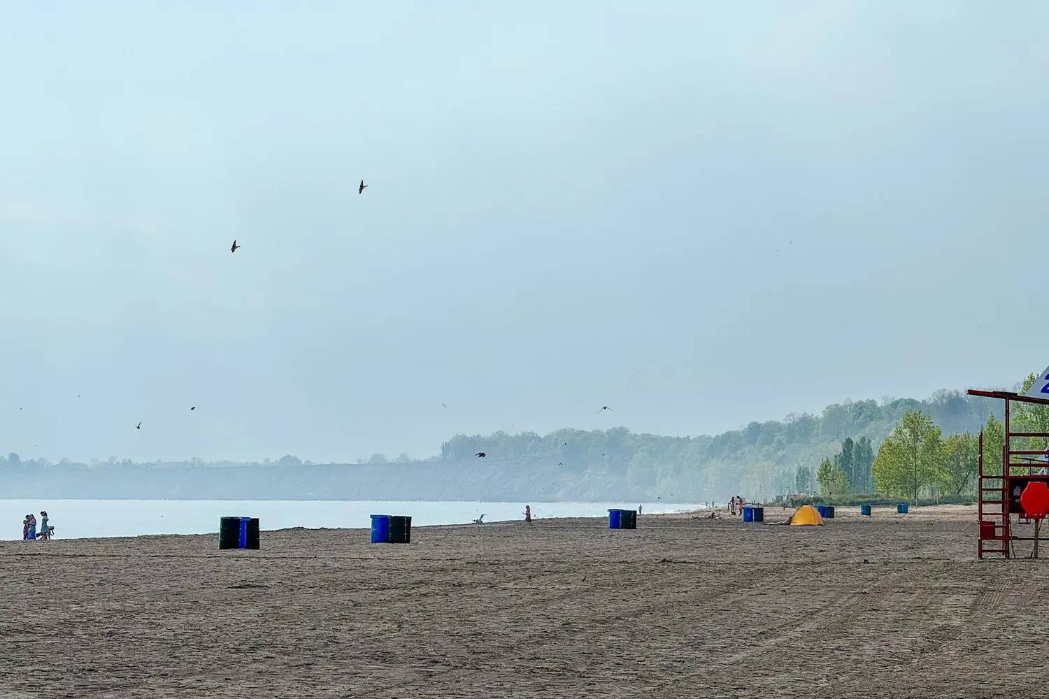 Additional image 10 of 4385 Thomas Road