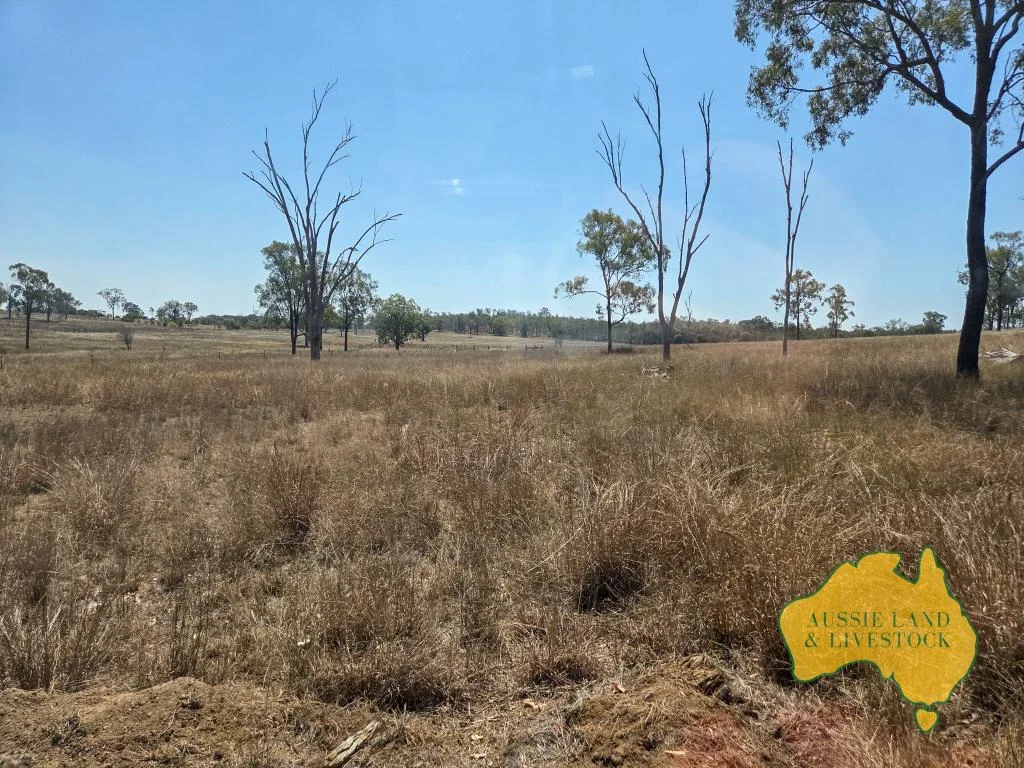 Additional image 31 of 110 BENHAMS ROAD, Mundubbera QLD 4626