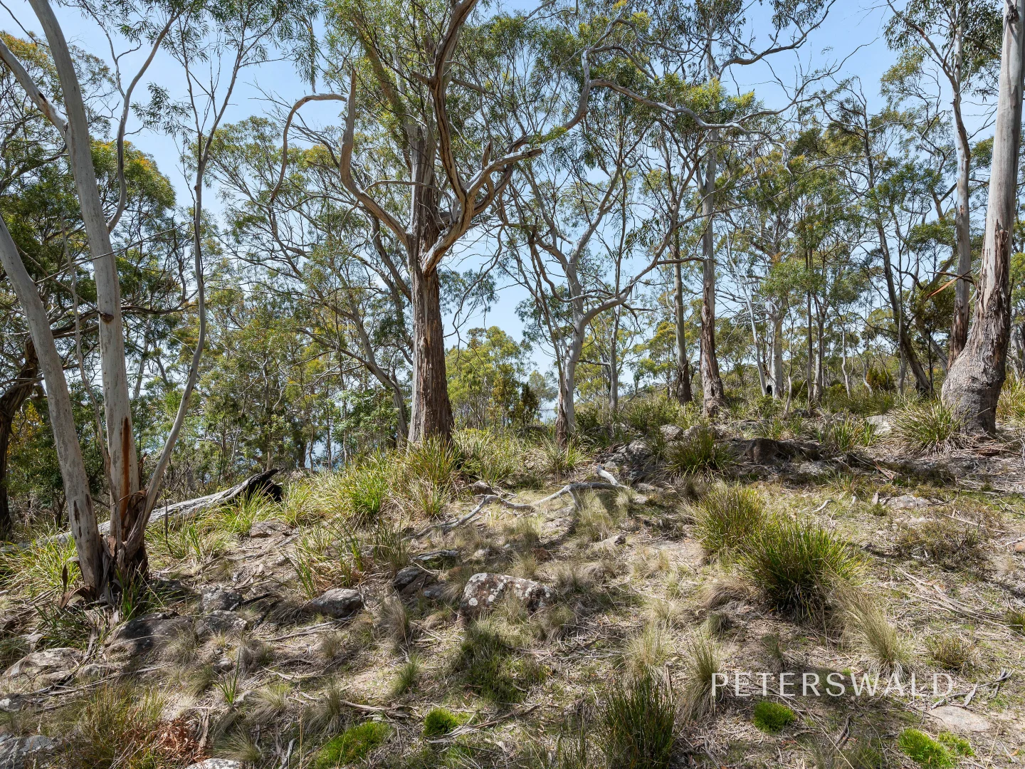 Additional image 13 of 626 Nelson Road, Mount Nelson TAS 7007