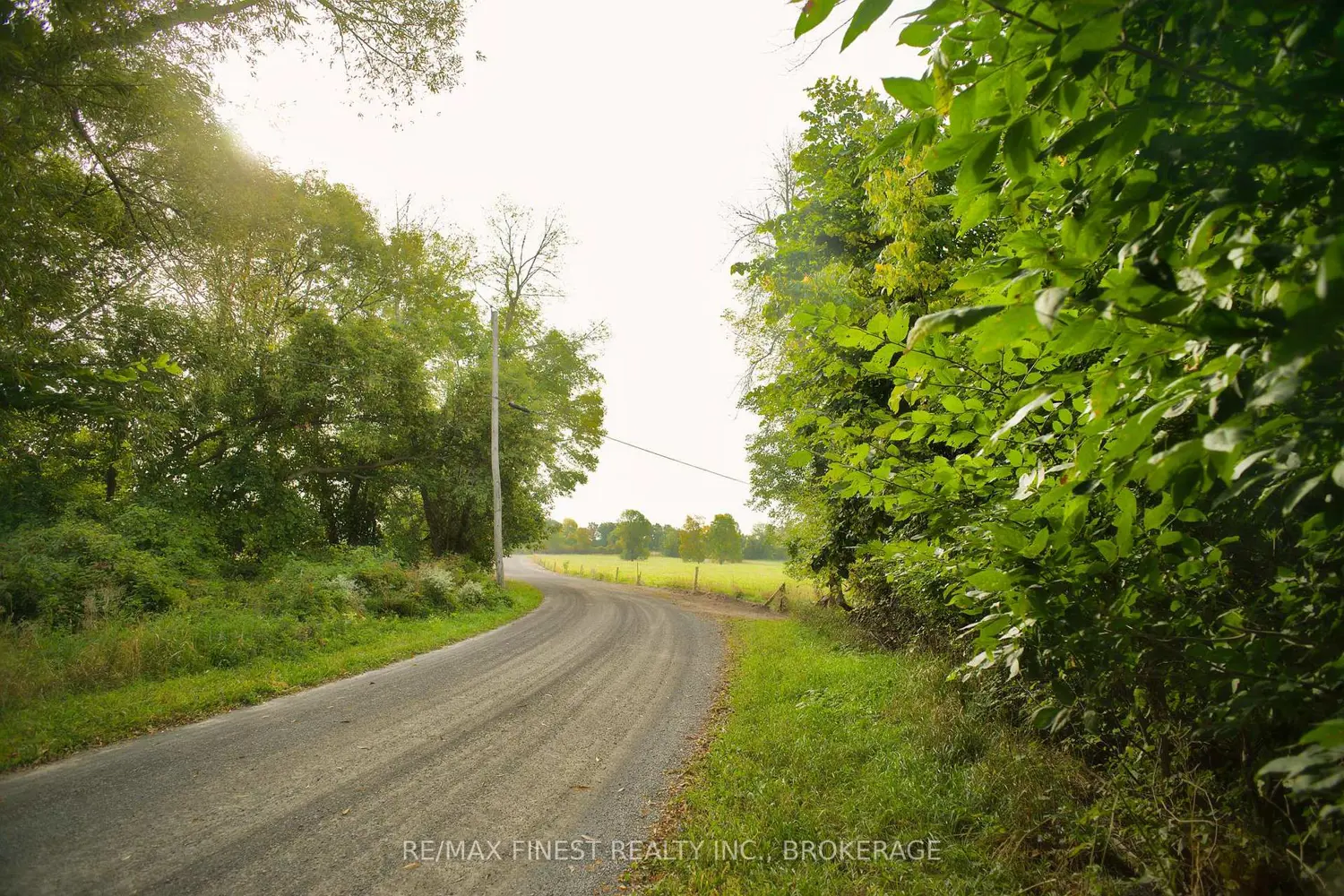 Additional image 17 of 15355 Front Road