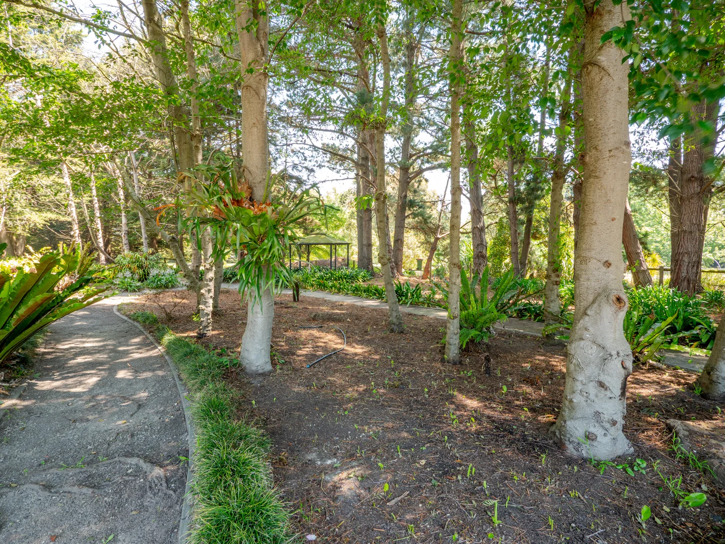 Additional image 68 of 60 Desmond Road, Wattle Bank VIC 3995