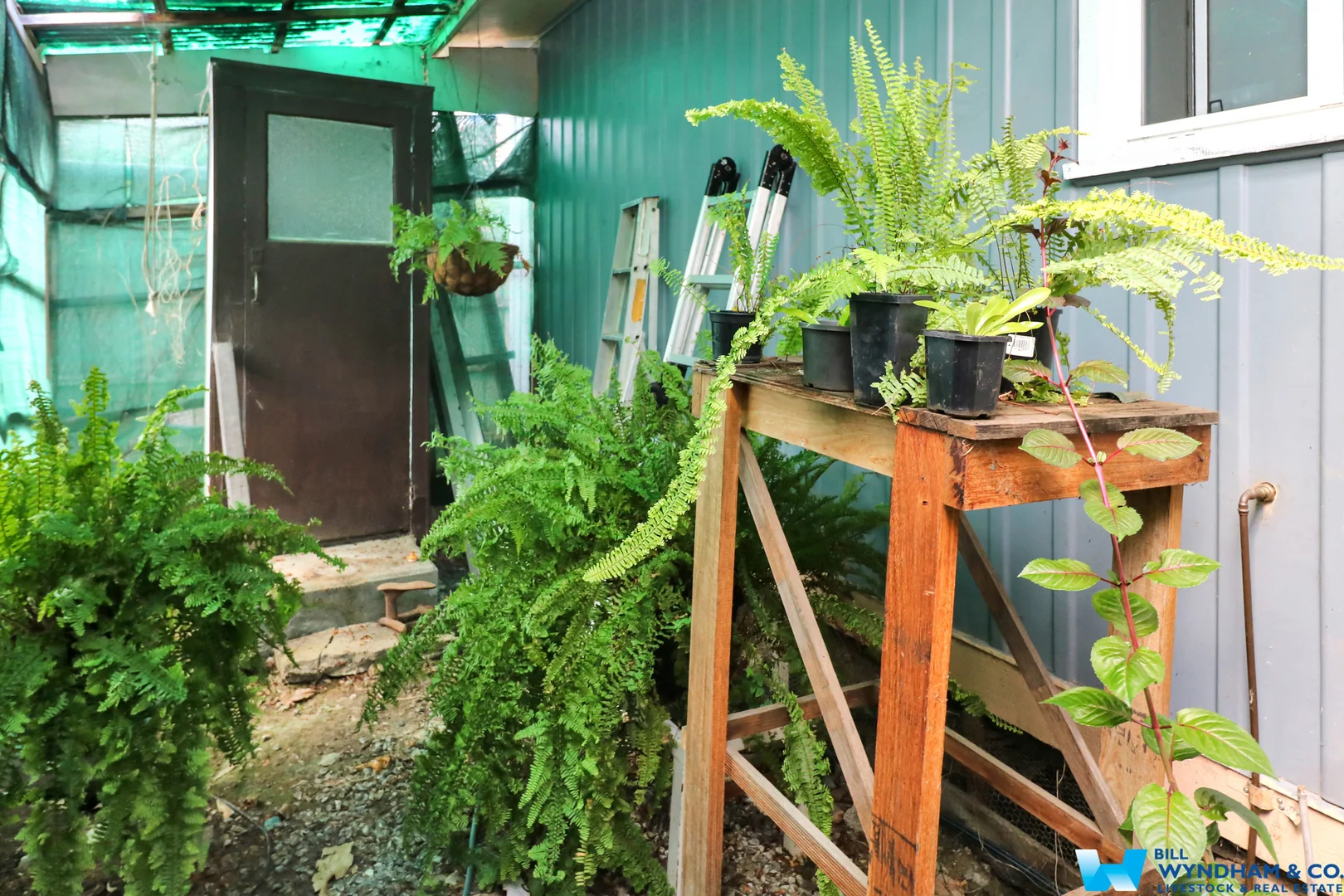 Additional image 13 of 4 Baum Street, Cann River VIC 3890