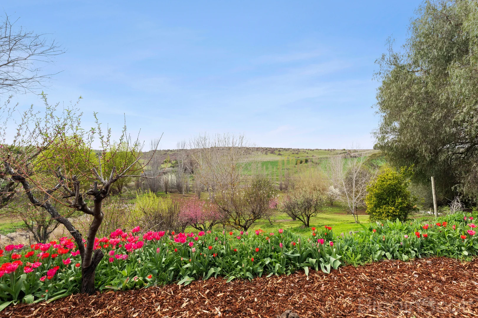 Additional image 17 of 185 Clunes Mt Cameron Road, Clunes VIC 3370