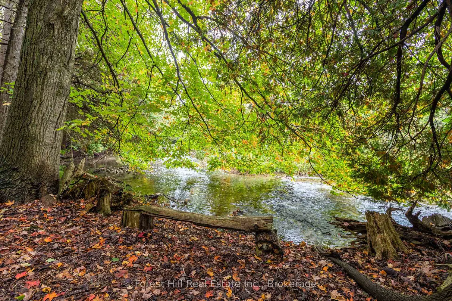 Additional image 12 of 403288 Grey Road 4