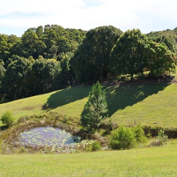 Additional image 20 of 25 Barlee Drive, Fernvale NSW 2484