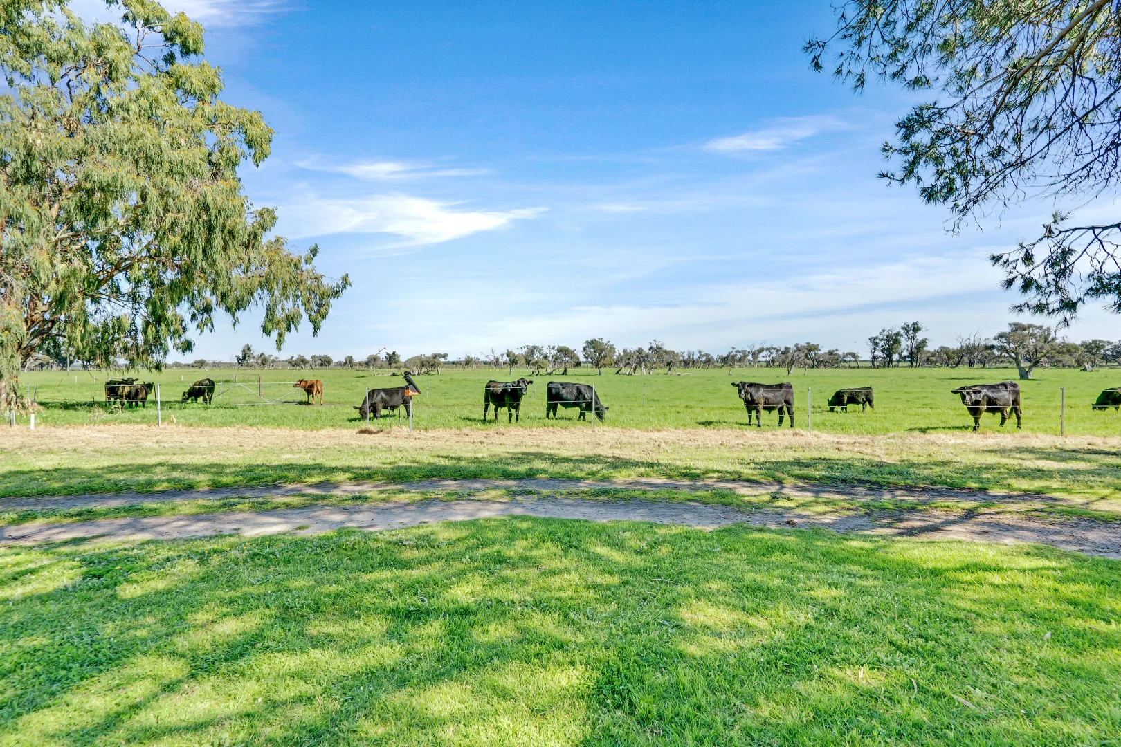Additional image 5 of 313 Ludlow Road North, Forrest Beach WA 6271
