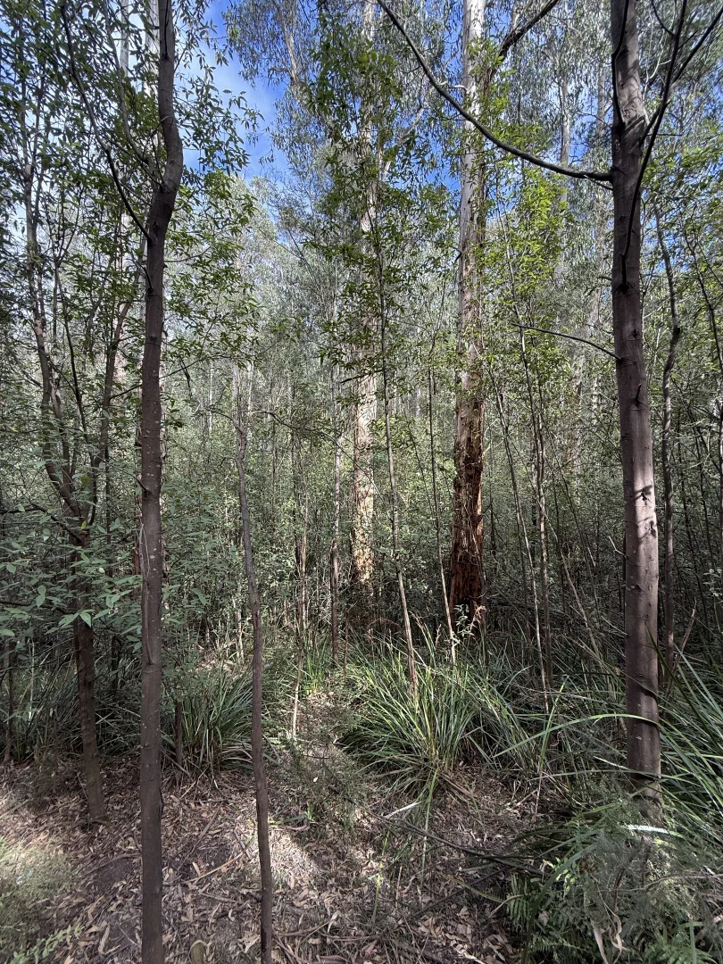 Additional image 4 of 355 Ninks Road, St Andrews VIC 3761