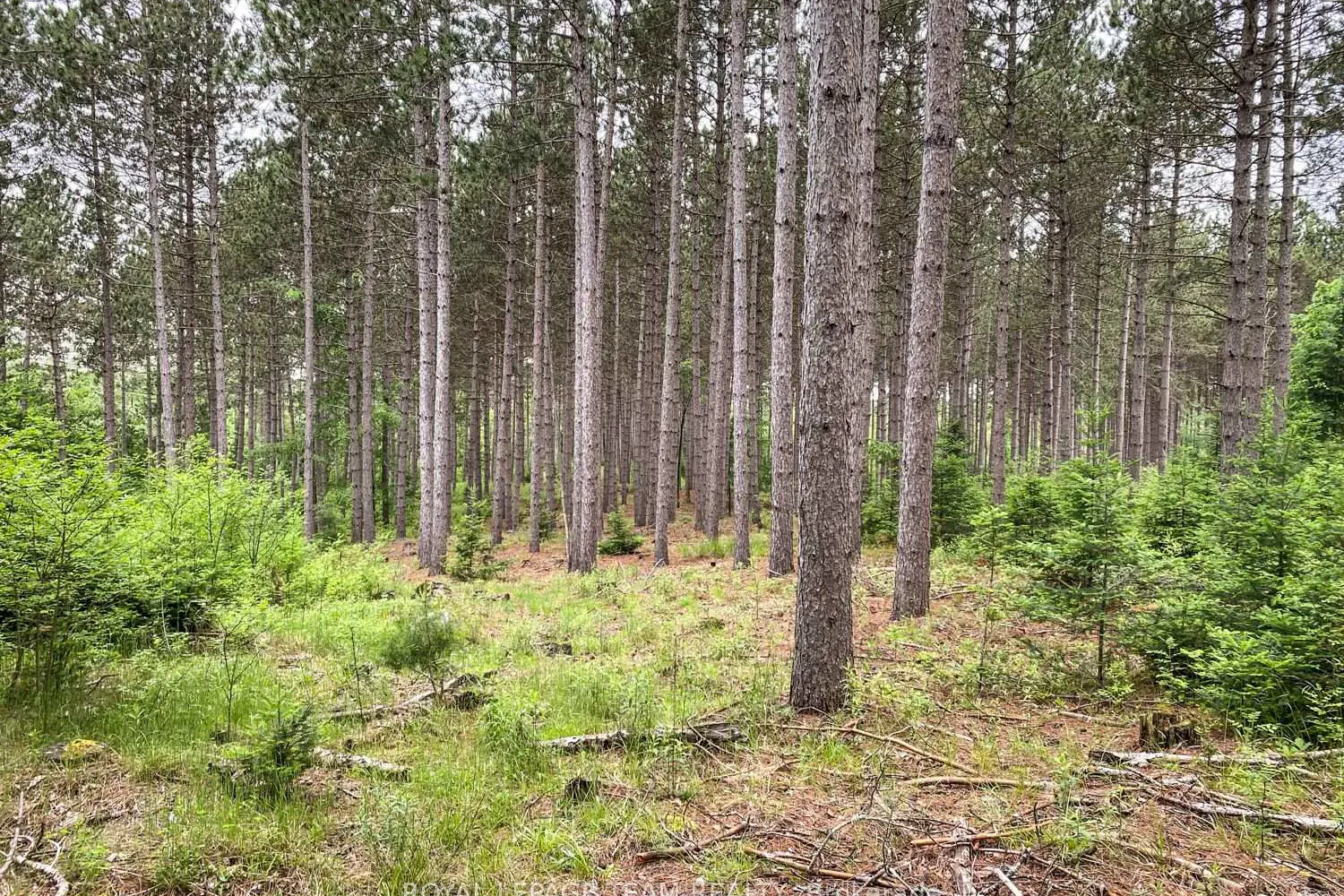 Additional image 11 of 1477 Watsons Corners Road