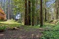 Additional image 74 of 13872 Silver Sky Way, Woodside, CA, 94062