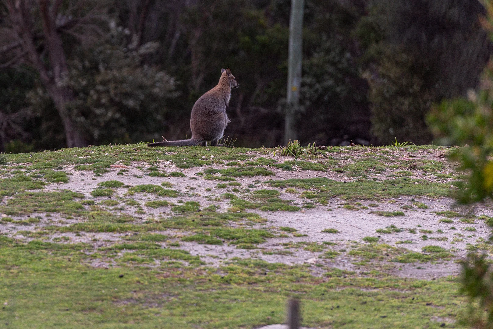 Additional image 12 of 525 Killiecrankie Road, Killiecrankie TAS 7255