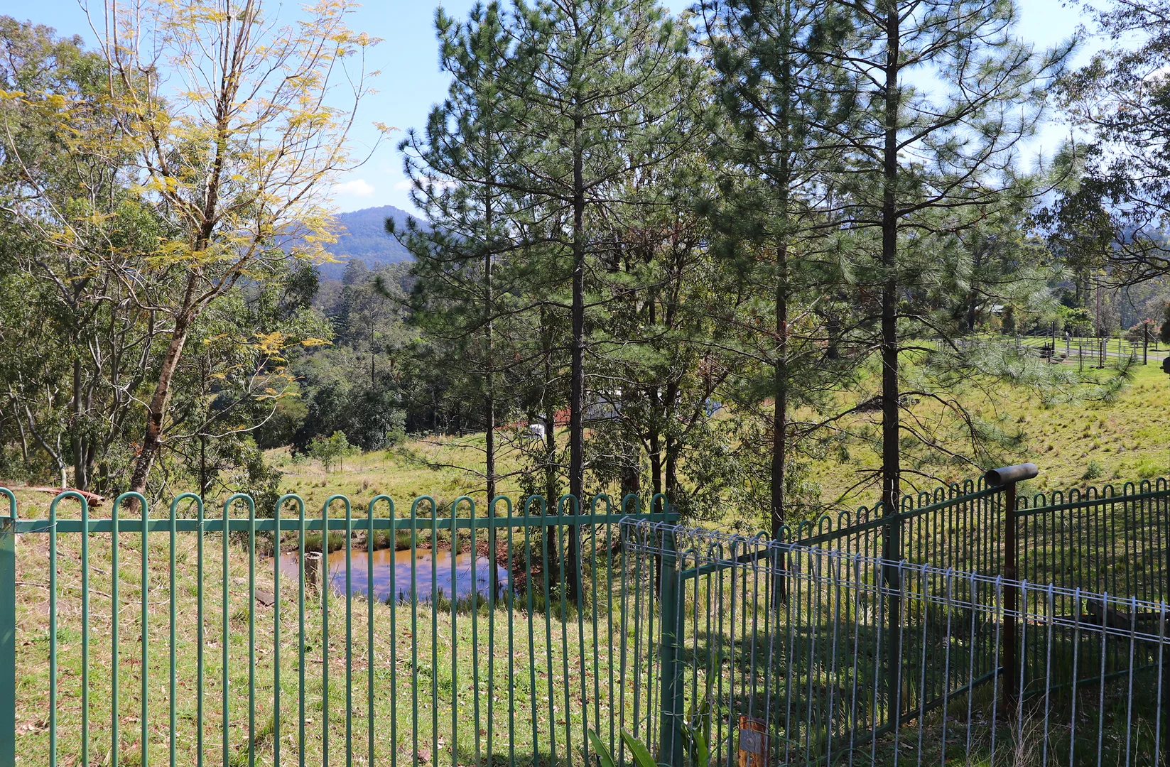 Additional image 32 of 144 Link Road, Wadeville NSW 2474