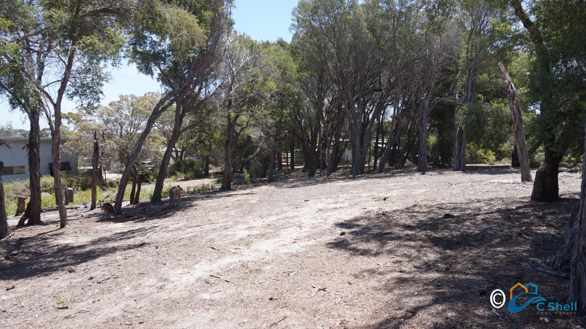 Additional image 4 of 40 White Crescent, Loch Sport VIC 3851