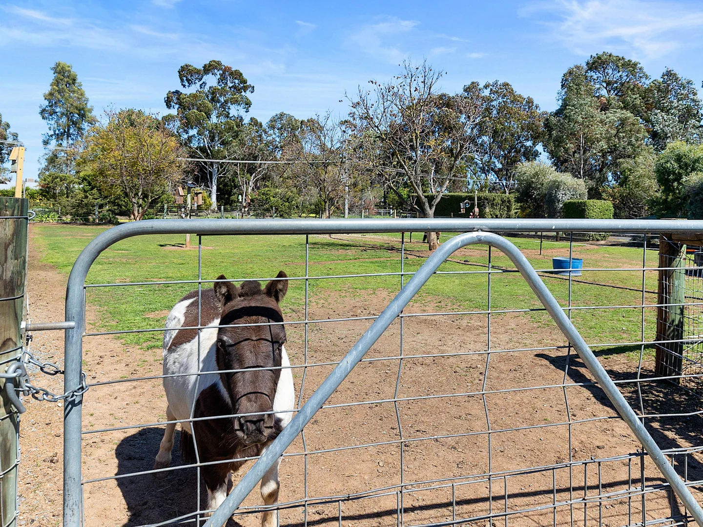 Additional image 27 of 33A Catona Cres, Cobram VIC 3644