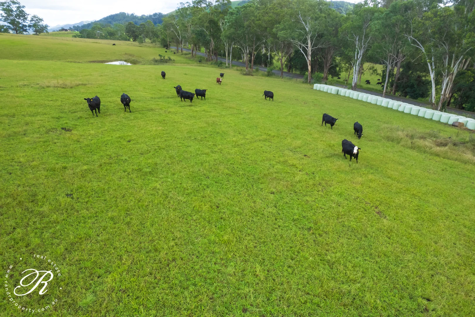 Additional image 8 of Gloucester NSW 2422