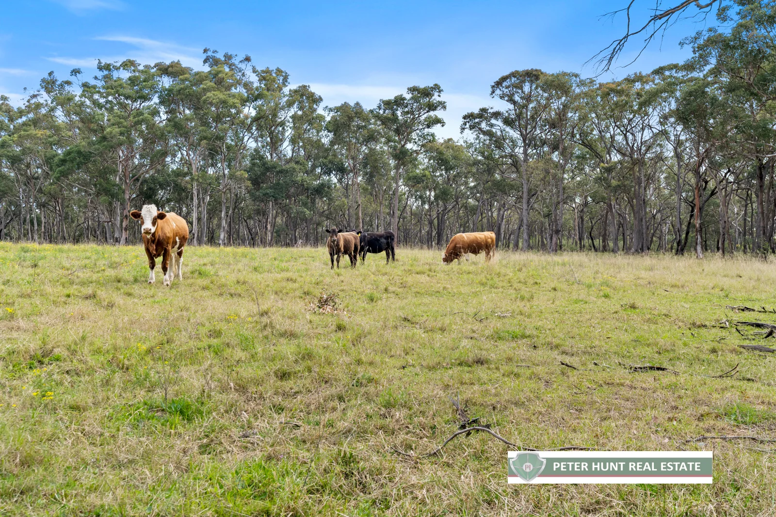 Additional image 16 of 30 Minerva Road, Wedderburn NSW 2560