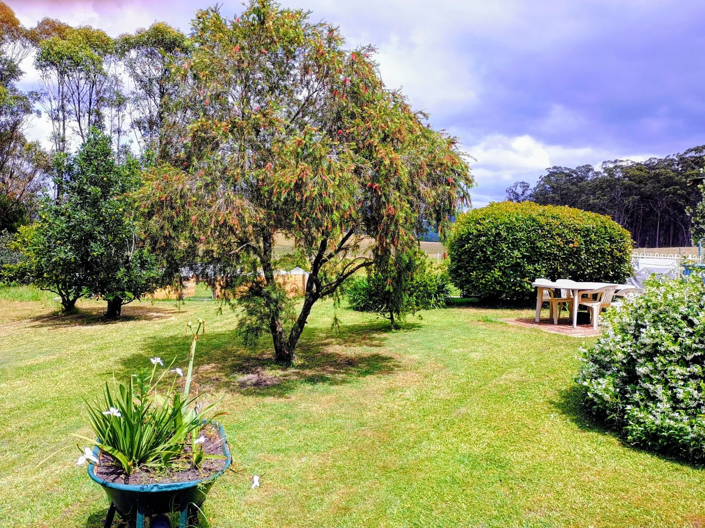 Additional image 26 of 427 Markwell Back Road, Bulahdelah NSW 2423