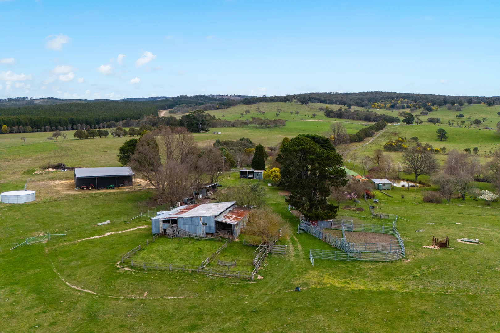 Additional image 28 of 171 Big Flat Road, Bombala NSW 2632