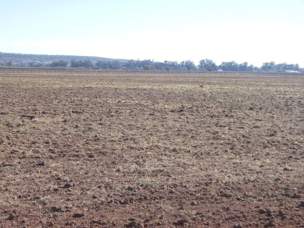 Additional image 4 of Part 619 Dinicola Road, Yoogali NSW 2680