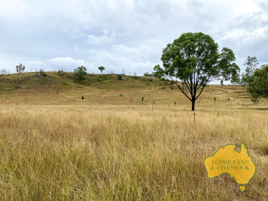 Additional image 28 of 59 MUNGY ROAD, Mungy QLD 4671