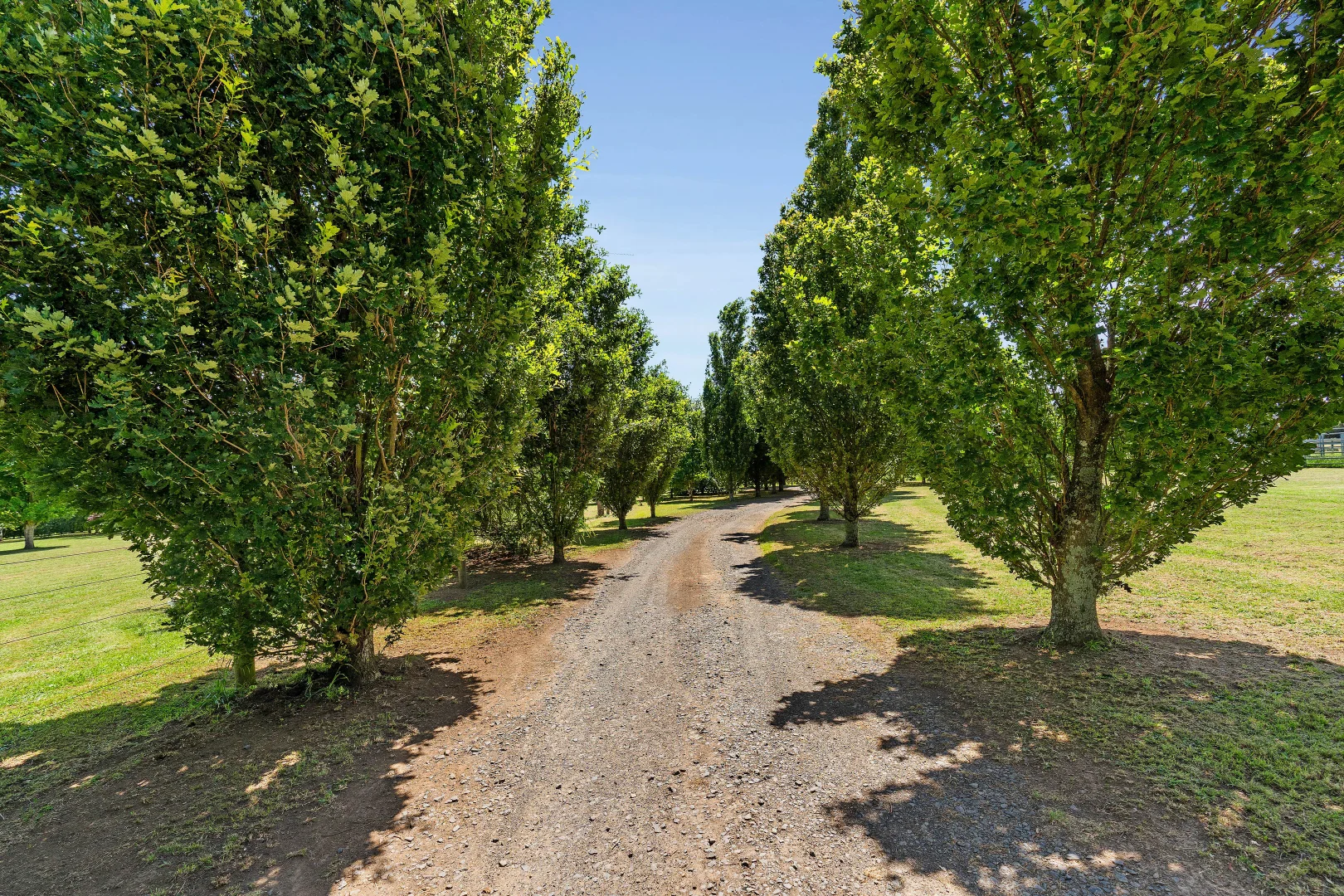 Additional image 4 of 1061 Neerim East Road, Neerim East VIC 3831