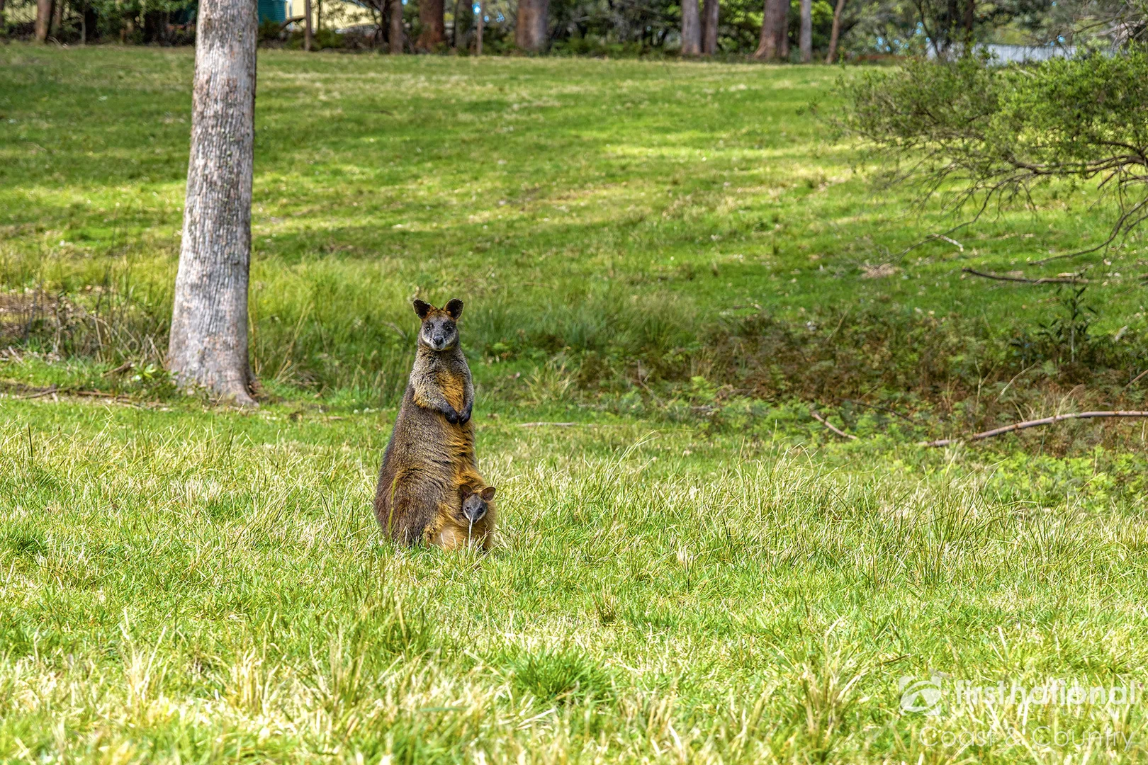 Additional image 26 of 533 Foxground Road, Foxground NSW 2534