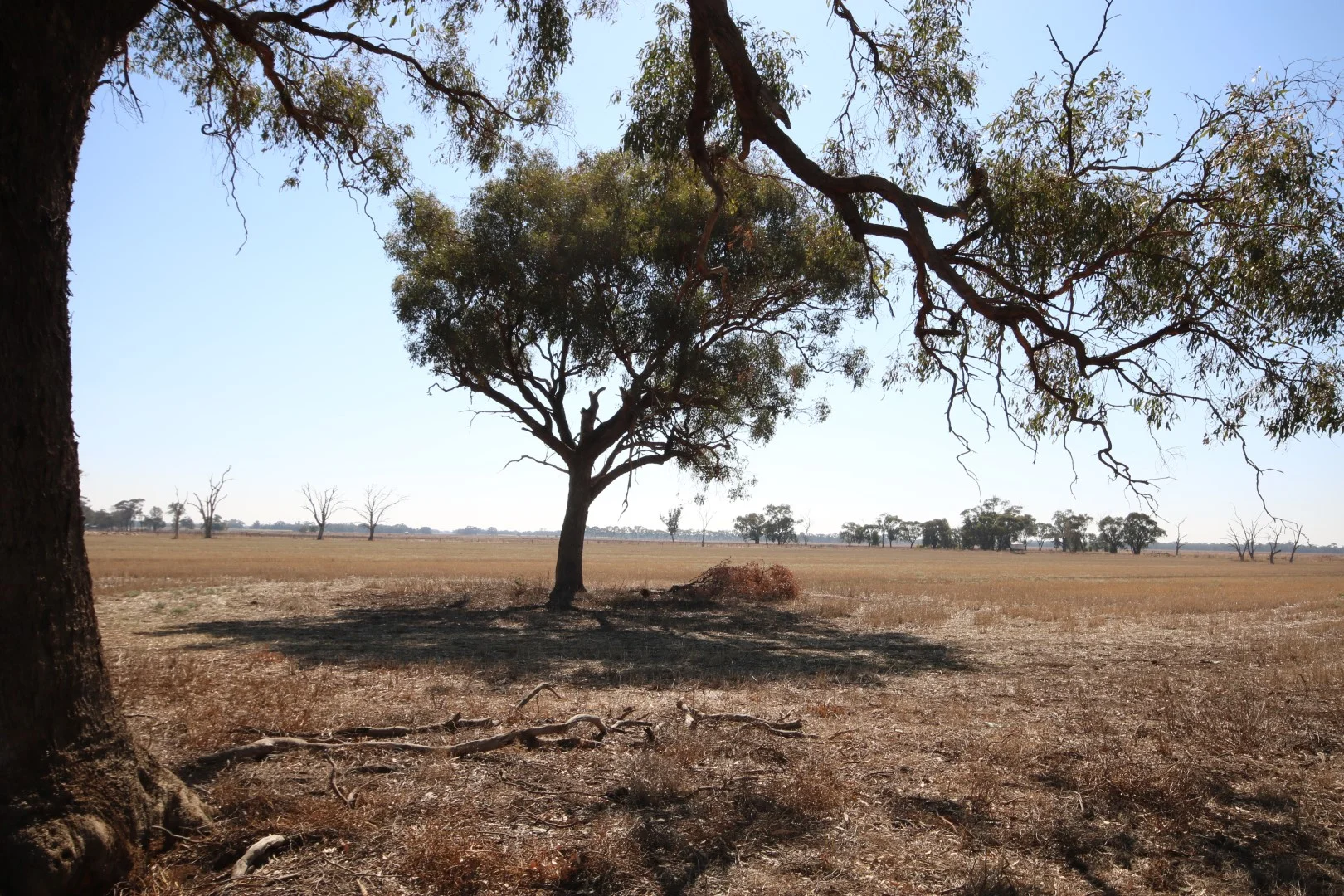 Additional image 12 of 1670 Whinfield Road, Kotta VIC 3565