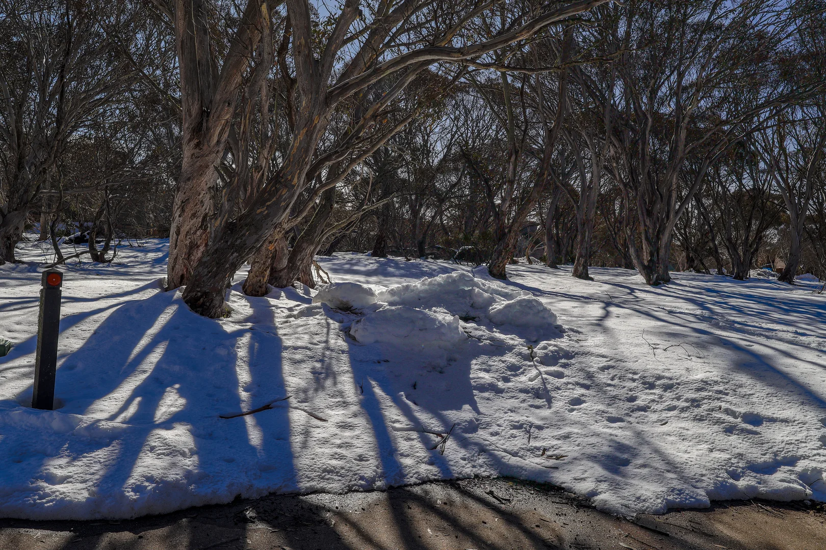 Additional image 6 of 8 Youngs Top, Dinner Plain VIC 3898
