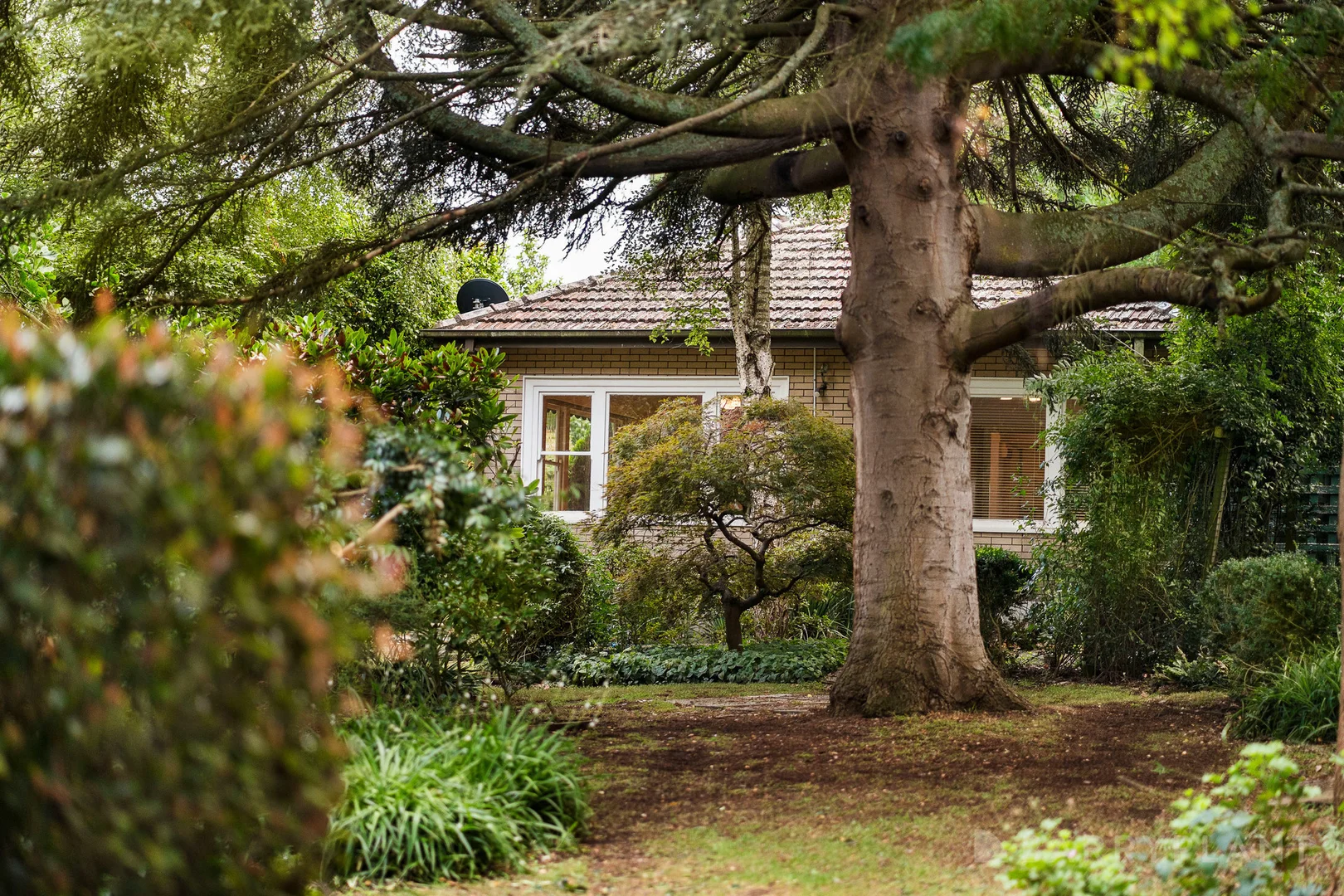 Additional image 21 of 8 Menzies Road, Menzies Creek VIC 3159