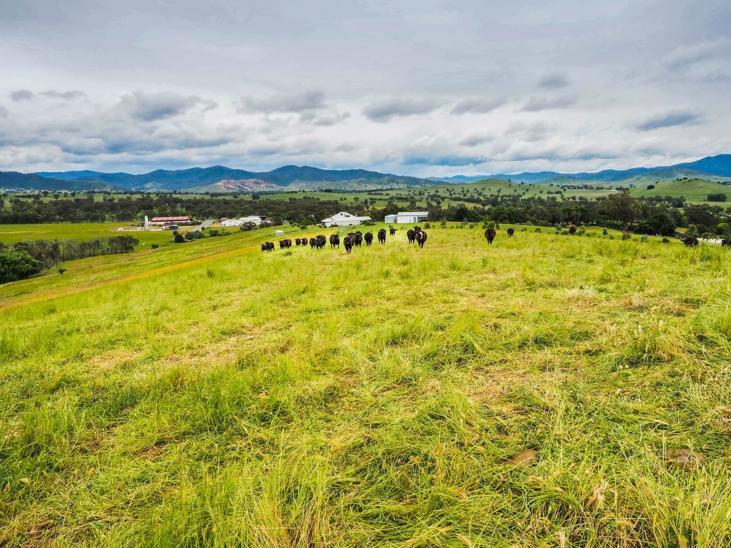 Additional image 5 of 25 Jephcott Avenue, Corryong VIC 3707