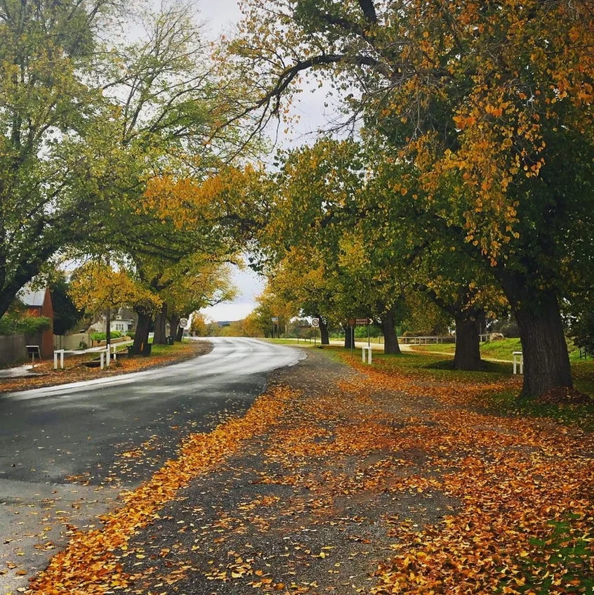 Additional image 9 of 30 Lowther Street, Maldon VIC 3463