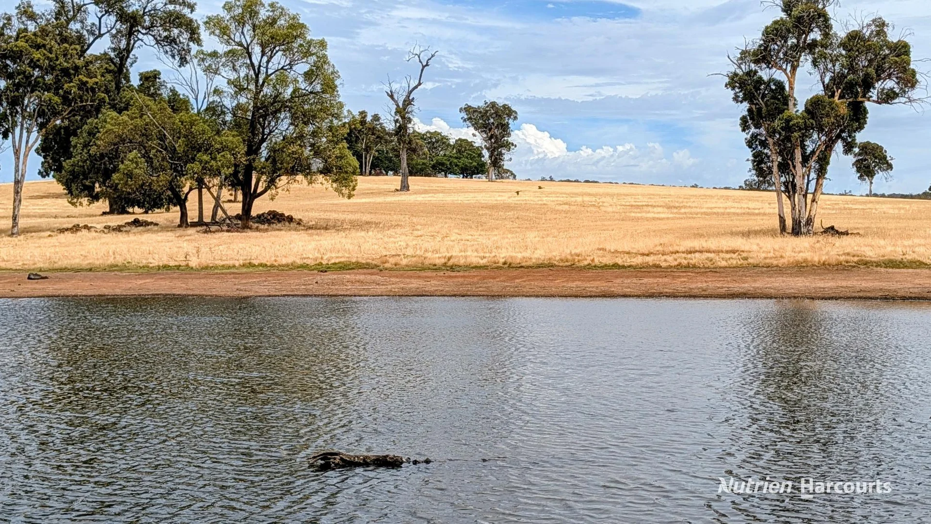 Additional image 30 of 823 (Lot 900) Talbot West Road, Mount Observation WA 6302